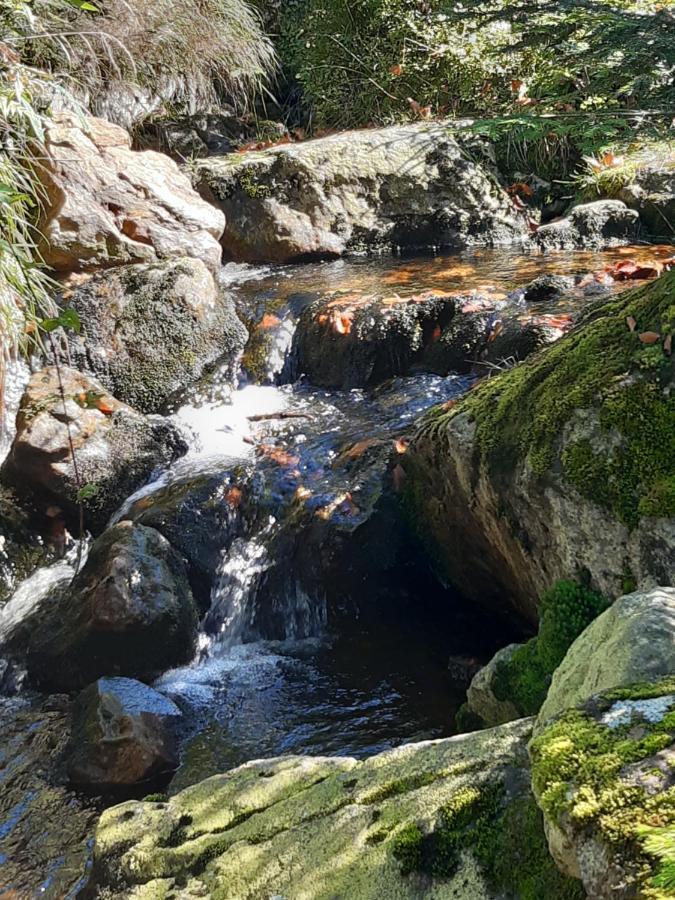 Anno - Wohlfuehlen Am Bachal In Altschoenau Neuschönau Buitenkant foto