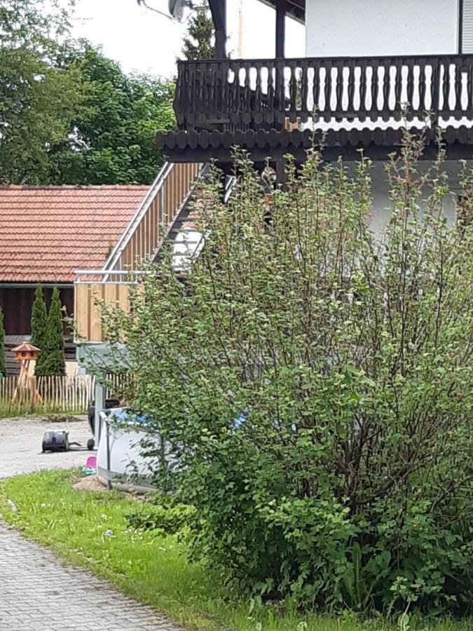 Anno - Wohlfuehlen Am Bachal In Altschoenau Neuschönau Buitenkant foto
