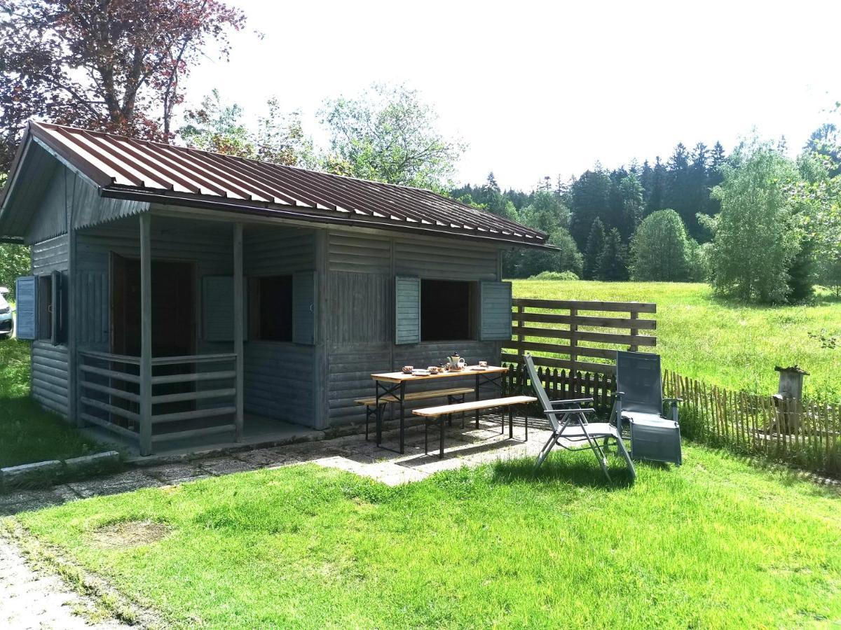 Anno - Wohlfuehlen Am Bachal In Altschoenau Neuschönau Buitenkant foto
