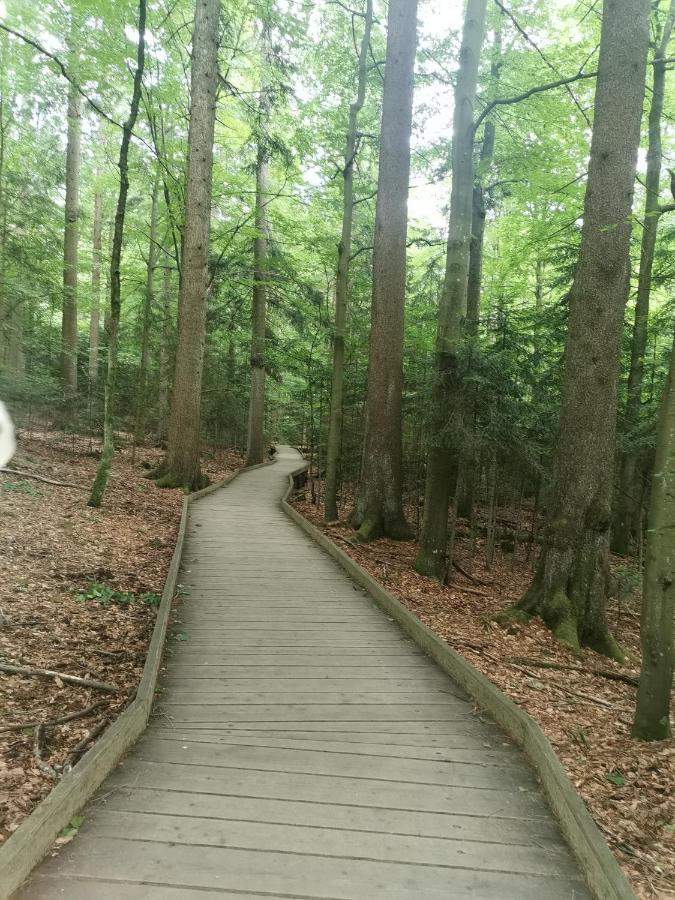 Anno - Wohlfuehlen Am Bachal In Altschoenau Neuschönau Buitenkant foto
